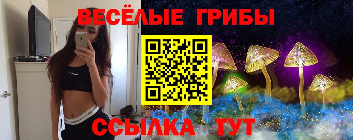 даркнет сайт  Вход с VPN  Махачкала  Псилоцибиновые грибы ЛСД 